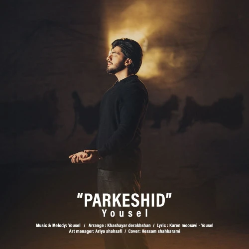 تصویر جلد آهنگ پر کشید