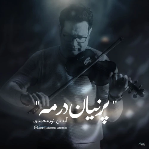 تصویر جلد آهنگ پنهان در مه