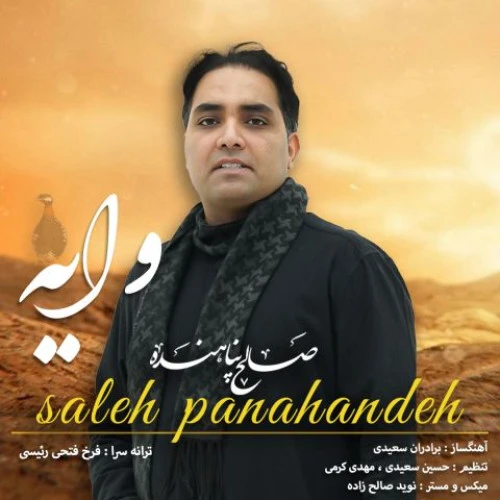 تصویر جلد آهنگ وایه