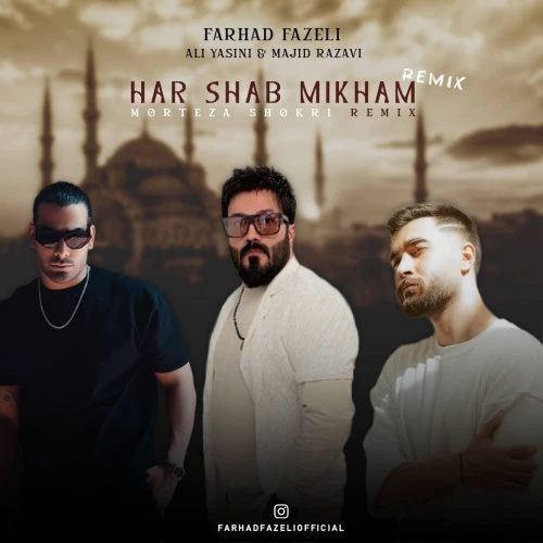 تصویر جلد آهنگ هر شب میخوام (مجید رضوی و علی یاسینی)