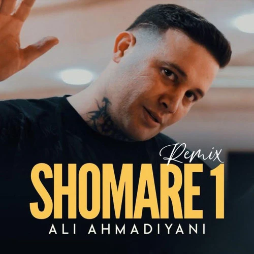 تصویر جلد آهنگ شماره یک (ریمیکس)