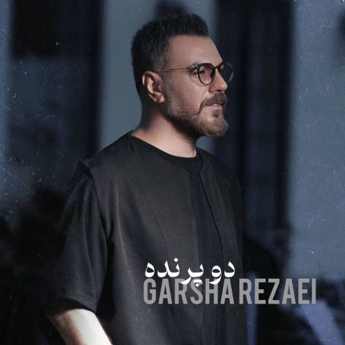 تصویر جلد آهنگ دو پرنده