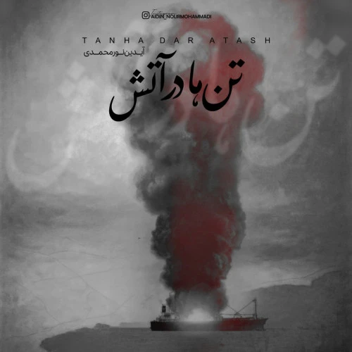 تصویر جلد آهنگ تن ها در آتش