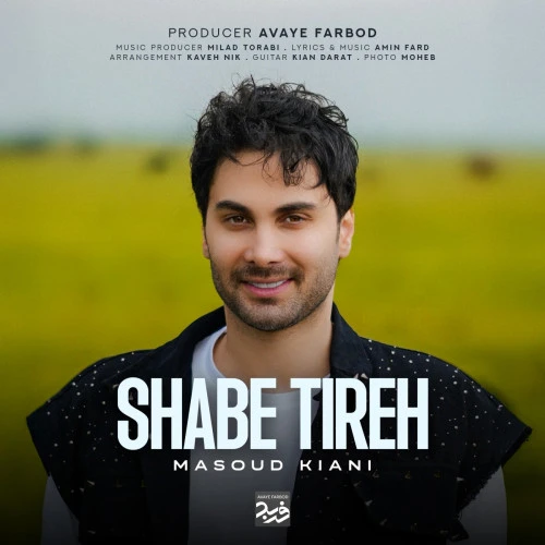 تصویر جلد آهنگ شب تیره