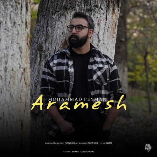 تصویر جلد آهنگ آرامش