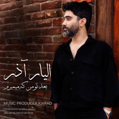تصویر جلد آهنگ بعد تو من که میمیرم