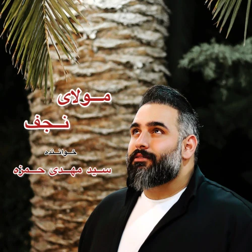 تصویر جلد آهنگ مولای نجفی