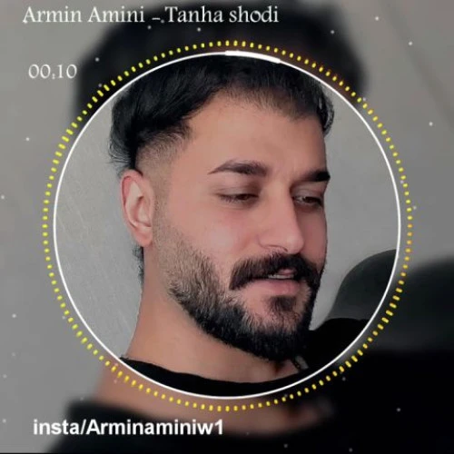 تصویر جلد آهنگ تنها شدی