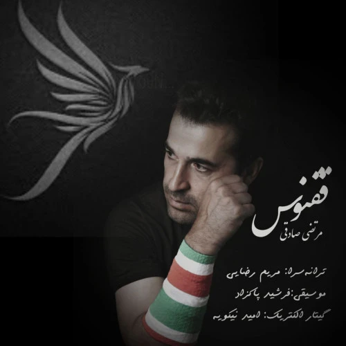 تصویر مرتضی صادقی