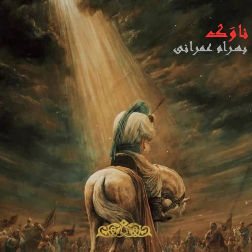 تصویر جلد آهنگ ناوک