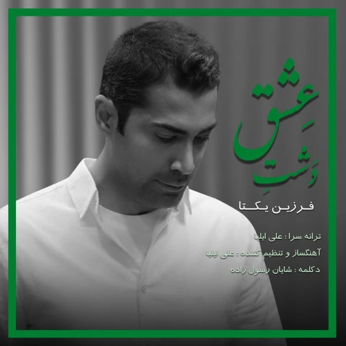 تصویر جلد آهنگ دشت عشق